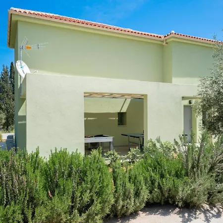 Mandolin By * 萨米